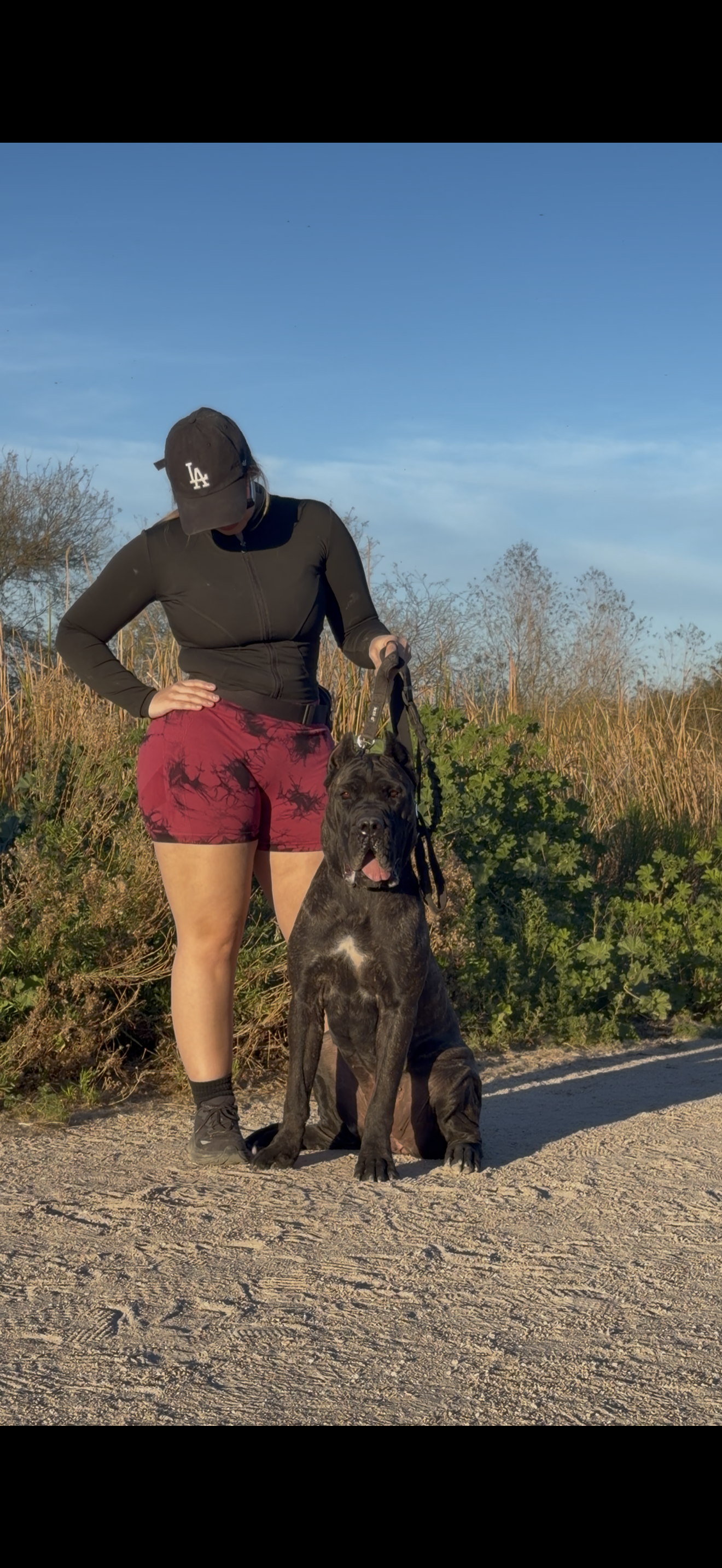 Exolinez Cane Corso