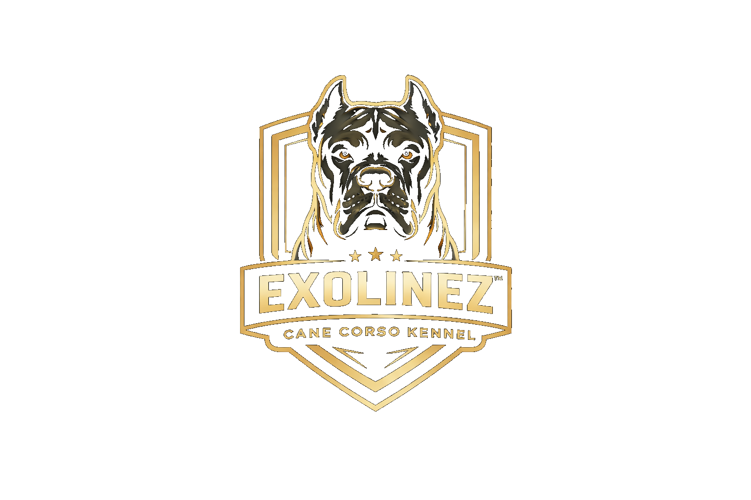 Exolinez Cane Corso Kennel