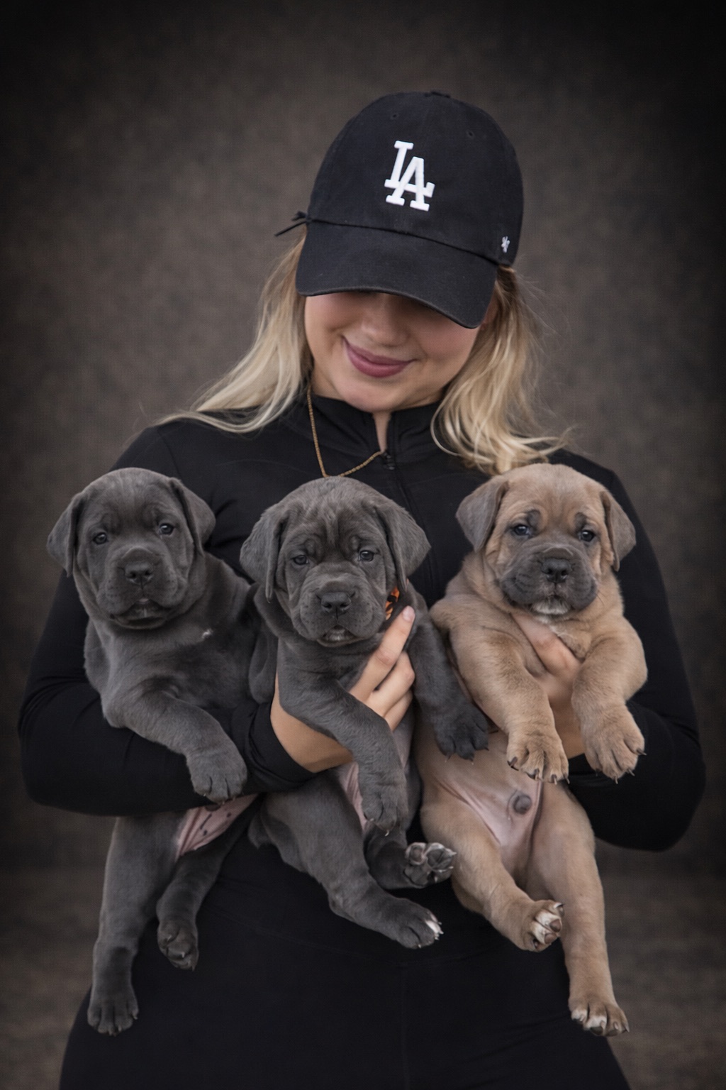 Exolinez Cane Corso puppies